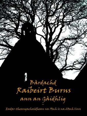 cover image of Bardachd Raibeirt Burns